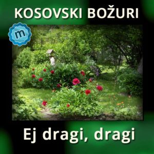 ej-dragi-dragi