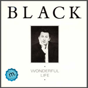 wonderful-life-s wonderful-life